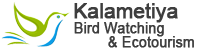 Kalametiya Bird Watching & Ecotourism
